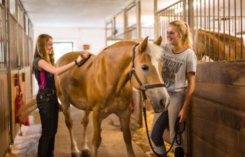 Pferde putzen im Reitstall Wildschönau