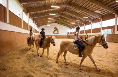 Reitstunden in der Halle