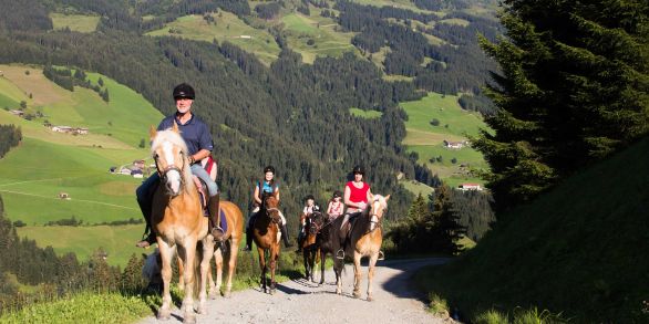 Kleines Reiterglück