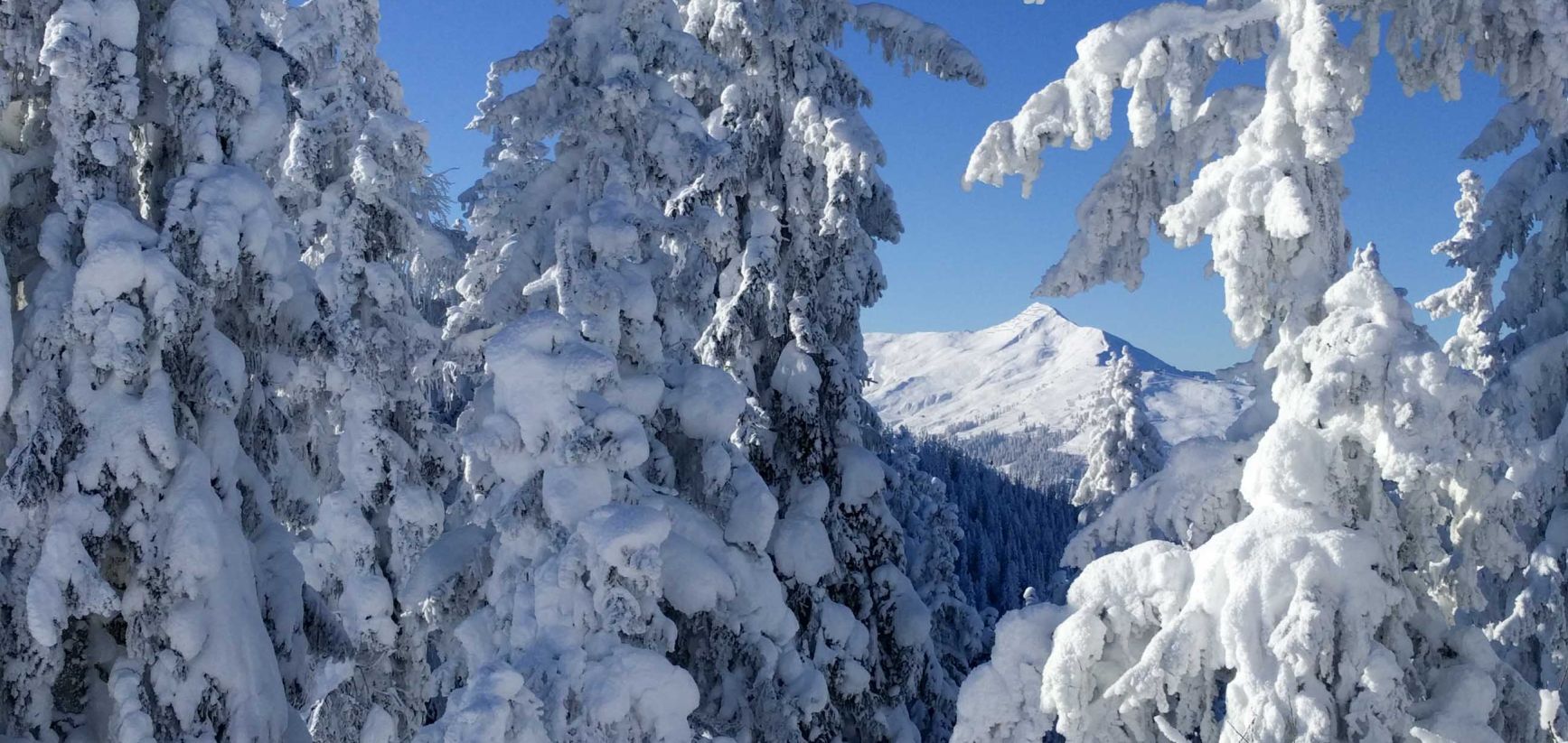 Wiederberger Horn, Blick von Schatzberg aus