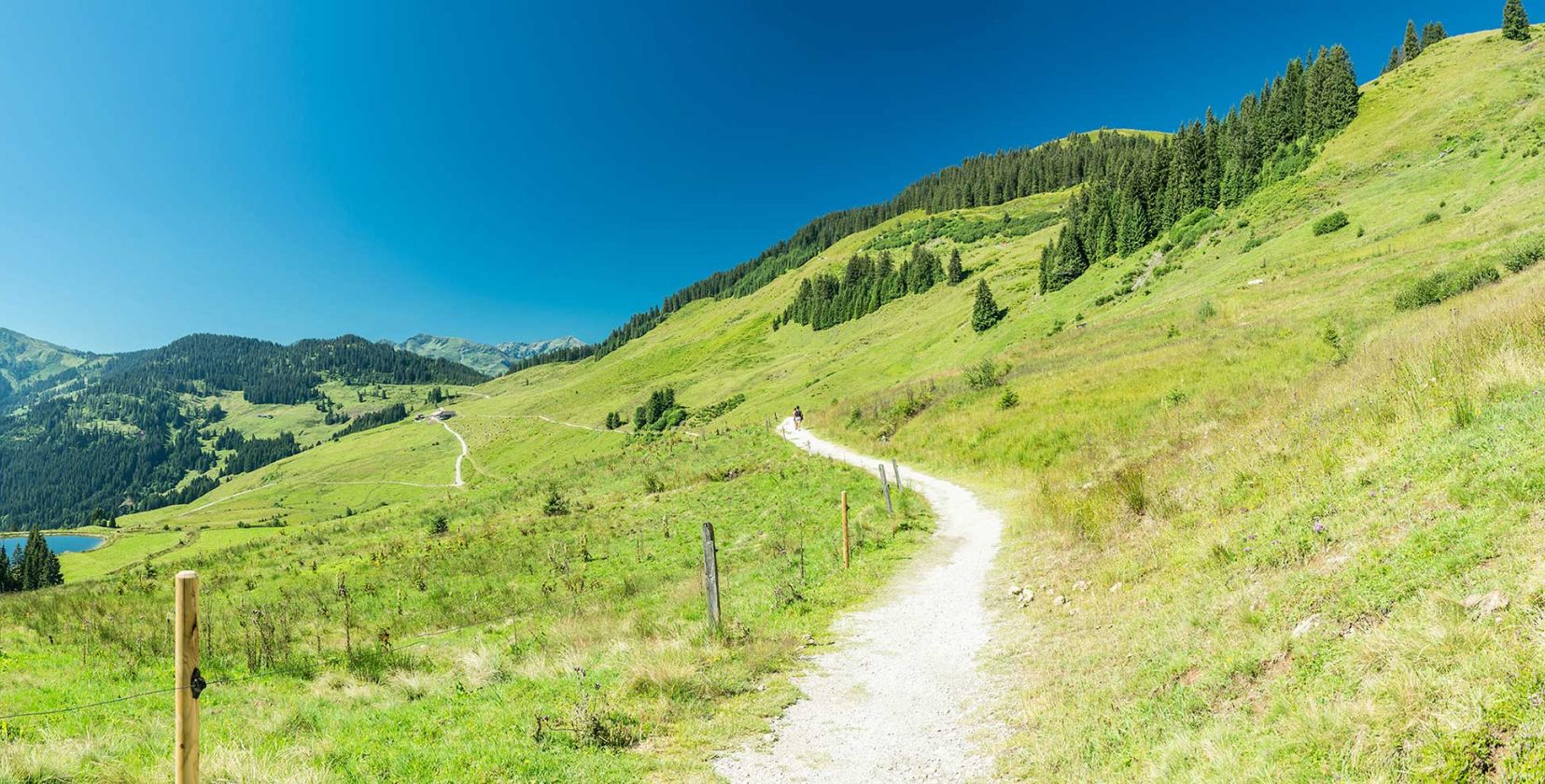 Wandern auf die Holzalm Wildschönau