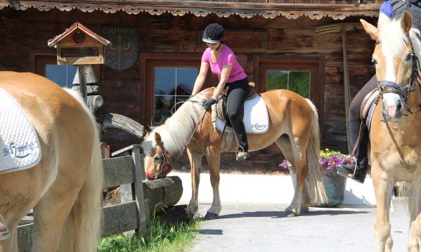 Reitausflug zum Bauernhof